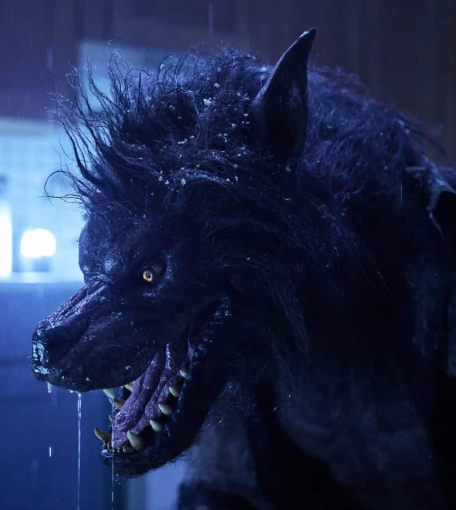 Werewolves Steven C. Miller Frank Grillo